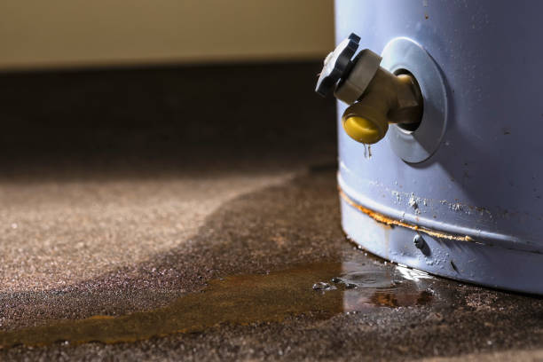 Best Water damage restoration process  in Morrisville, NY
