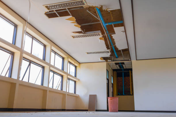 Best Water damage restoration experts  in Morrisville, NY
