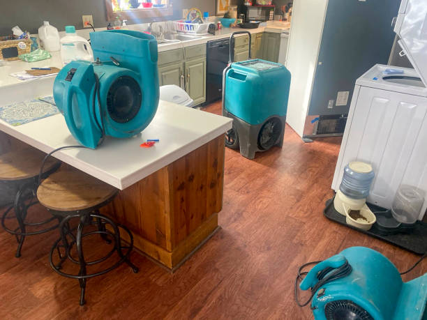 Best Flood damage cleanup  in Morrisville, NY