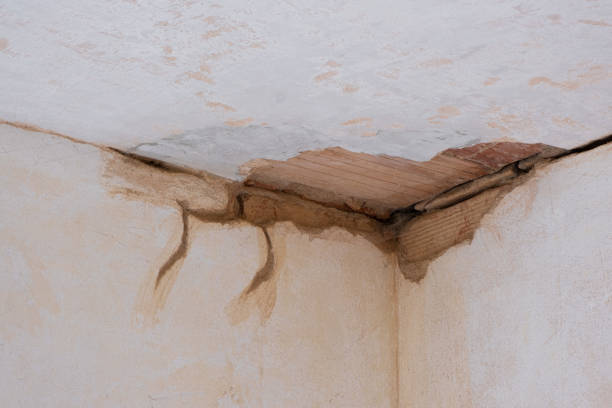 Best Water damage contractors near me  in Morrisville, NY
