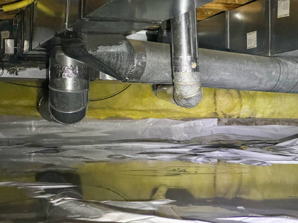 Best Water damage restoration company  in Morrisville, NY